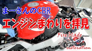 エンジン始動に向けて各部点検【11万円のCBR929RR】 [upl. by Nirihs718]