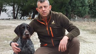 Yavru Köpeklerin Usta Köpekler ile Ava Çıkması Doğru mudur [upl. by Lacym]