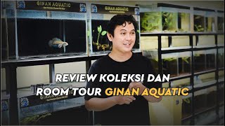 Review Pulchra Kesayangan amp Room Tour [upl. by Duff]