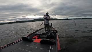 2024  2025 ABA Div 75 season opener on Lake Mitchell out of Higgins Ferry lamarcolemanfishing [upl. by Hoisch]