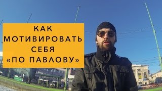 Как мотивировать себя Как мотивировать себя по Павлову Как мотивировать себя метод Мотивируй себя [upl. by Arras670]