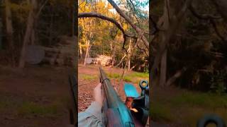 Miroku Musket flintlock musket review subscribe thepatriot [upl. by Ecnarepmet854]