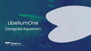 LibeliumOne Monitors The Largest Fluvial Aquarium in Europe  Libelium [upl. by Hairu]