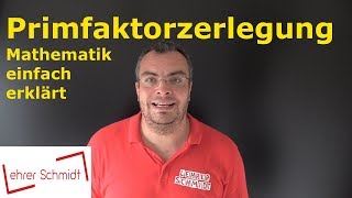 Primfaktorzerlegung  Bruchrechnung  Mathematik  einfach erklärt  Lehrerschmidt [upl. by Potash742]