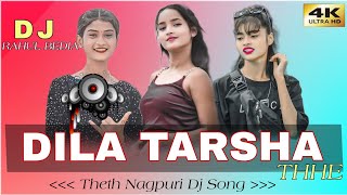 Dil Tarshthe Theth Nagpuri Song  Choh Nach Remix Dj Song Dj Rahul Bedia [upl. by Saitam]