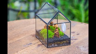 easy moss microlandscape tutorial [upl. by Dalila]