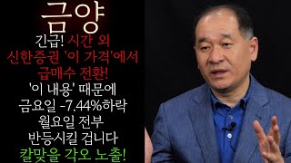 🔵금양 긴급 시간 외 신한증권 급매수 전환 주가 괴리율 콘탱고 발생 월요일 이 내용으로 급반등 시킬 겁니다 포지션 변경 이 가격 필수 대응 금양목표가 금양대응 [upl. by Honey]