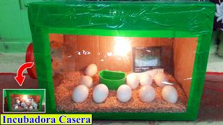 Incubadora Casera Para Huevos de Gallina  Home Incubator [upl. by Elokkin132]