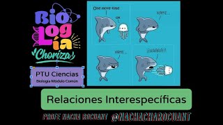 Clase 15 Relaciones Interespecíficas [upl. by Ronoel34]