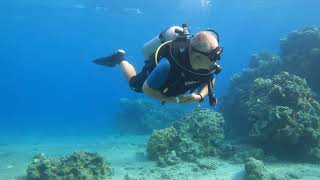 Eilat  111124  diving near border [upl. by Izmar61]