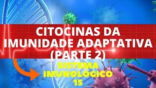 CITOCINAS NA IMUNIDADE ADAPTATIVA PARTE 2  IMUNOLOGIA SISTEMA IMUNOLÓGICO [upl. by Rexer]