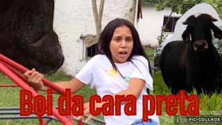 BOI DA CARA PRETA [upl. by Kafka]