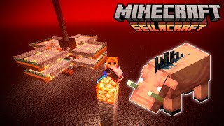 FARM de HOGLIN fome nunca mais  Minecraft EP 13 [upl. by Ahseila]