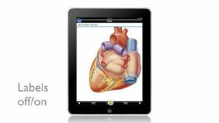 Grays Anatomy for Students for iPad™ [upl. by Hugh782]