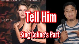 Tell Him  Barbra Streisand and Celine Dion Karaoke  Barbras Part Only [upl. by Hime83]