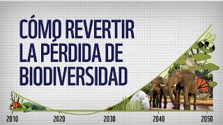 PÉRDIDA DE BIODIVERSIDAD ¿CÓMO PODEMOS REVERTIRLA [upl. by Nwavahs]