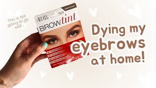 Try out the Ardell Brow Tint with me amp UPDATE [upl. by Elbys72]