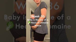 36 weeks pregnant baby development [upl. by Igal96]