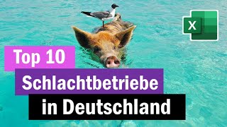 Schlachtbetriebe in Deutschland  Top 10 mit Standorten [upl. by Milinda]