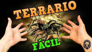 COMO HACER UN TERRARIO CASERO Tarántula  Reino Animal [upl. by Londoner359]