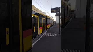 basel bahnhof blt E11Tram 1615 Basel Dreispitz 29112024 BasellandTransport [upl. by Alison]