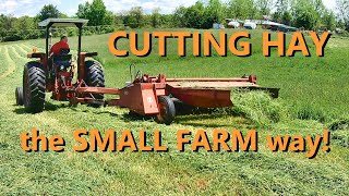 the basics of cutting hay [upl. by Eneleh500]