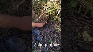 Using the Cut Kama weeding sickle to remove large grass clump  Shogun Tools [upl. by Erline]