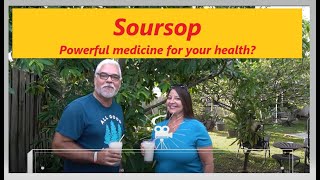 Growing Soursop  Drink for your health  BENEFITS OF SOURSOP  Graviola  Guanabana [upl. by Offen]