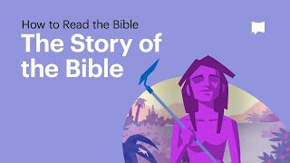 The Story of the Bible • What Its About From Beginning to End [upl. by Capon]