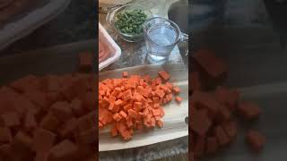 Easy Crockpot Dog Food shorts [upl. by Atiral]