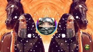 🎶New Arabic Remix Song 2023  Remix  Music  Bass Boosted  Arabic Music  Arabic Remix Song [upl. by Zendah]