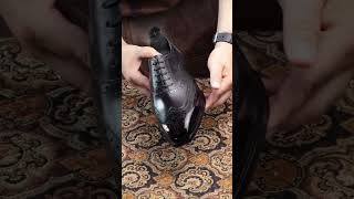 Oxford wingtip full brogue shoesreview from The Elegant Oxford [upl. by Tiras]