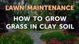 How to Grow Grass in Clay Soil [upl. by Blaseio257]