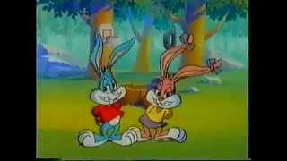 Tiny Toons Adventure  Julespesial Intro NorskNorwegian [upl. by Lahcim]