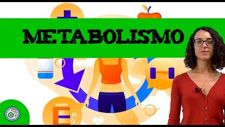 Metabolismo Conceptos 1 🧍‍♀️ Ejercicio resuelto de EBAUEvAUPAU [upl. by Shamrao299]