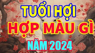 Tuổi Hợi hợp màu gì năm 2024 mang lại tài lộc may mắn I tuoihoi2024 phongthuy hoamai [upl. by Aimac]