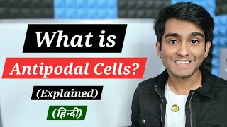 Learn What are Antipodal Cells The Nutrient Helpers in Plant Reproduction in Biology [upl. by Pembrook]