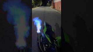 Flames on a Ninja ZX4RR🔥 [upl. by Artap]