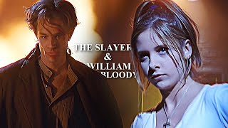 The Slayer amp William the Bloody  Their Journey btvs [upl. by Onaimad]