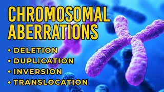 Chromosomal Aberrations  Deletion  Duplication  Inversion  Translocation [upl. by Dnomad]