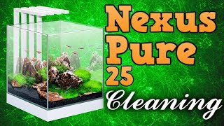 CIANO NEXUS PURE 25 FISH TANK CLEAN  FIRST ATTEMPT AT VLOGGING [upl. by Aihsined581]