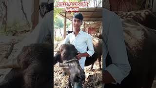 Bhess ko last me dekhna 😂😂 funny comedyshorts shorts trending comedy [upl. by Asyle]