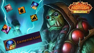 this SHAMAN TANK is INSANE BIG DPS  Elemental Lord is GROSS  Season 8 Build Guide [upl. by Windy]