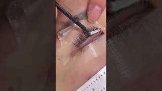 2024 NO CURL Eyelash Perm Sheet Lash Lift [upl. by Elianora]