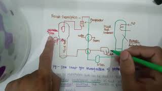 Lecture 29 Phthalic Anhydride [upl. by Inek]