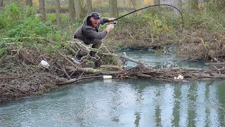 This Hidden Stream Flooded The Wood It was Packed With BIG Fish [upl. by Sprague]