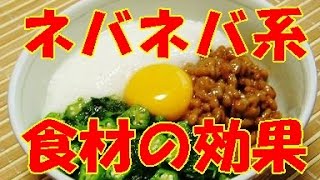 目からウロコ！疲れたカラダに「ネバネバ食材」 [upl. by Akkin]