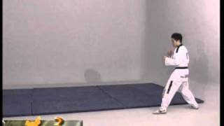 Apprendre le Taekwondo [upl. by Asseral]