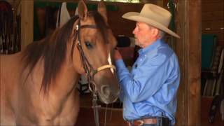 Charles Wilhelm shows how to properly fit and adjust a snaffle bit [upl. by Oninotna367]