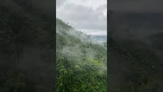 tallest bridge in the Philippines that can be found only at Agasagas Sogod Southern Leyte foryou [upl. by Annahsal513]